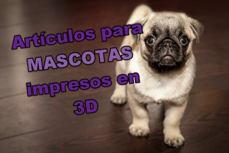 artículos para mascotas impresos en 3D